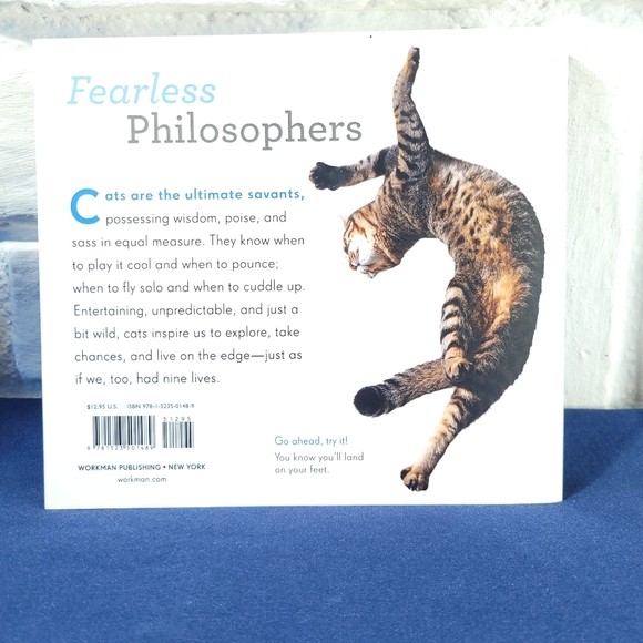 Really Important Stuff My Cat Taught Me - Picture 2 of 5